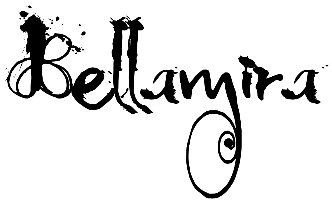 Bellamira: ceilidh band for weddings, parties and festivals